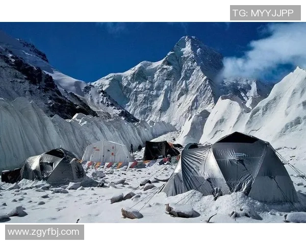 从零开始的攀岩之旅全方位攻略与技巧分享